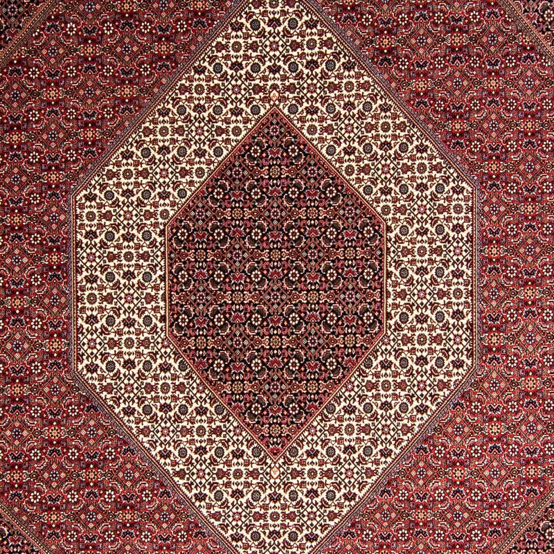 Persisk tæppe - Bijar - 354 x 248 cm - lysrød