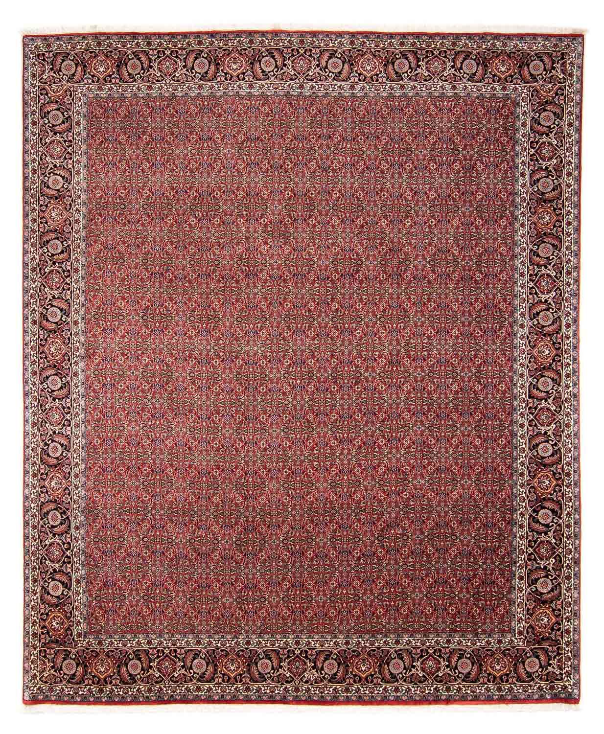 Persisk tæppe - Bijar - 300 x 252 cm - mørkerød