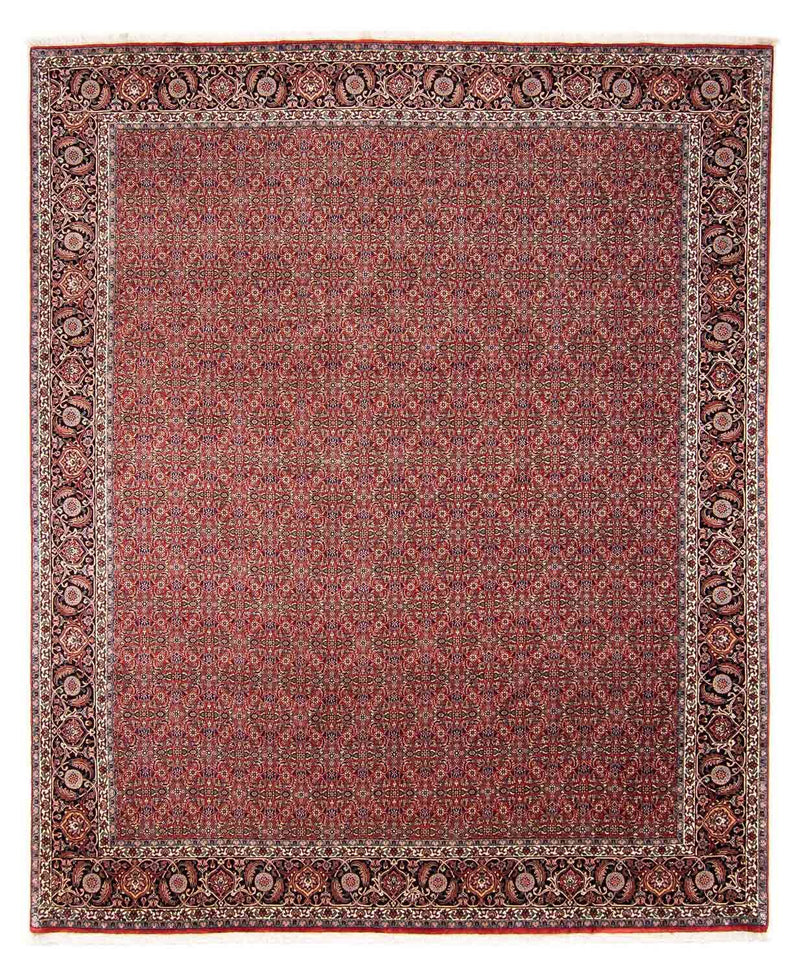 Persisk tæppe - Bijar - 300 x 252 cm - mørkerød
