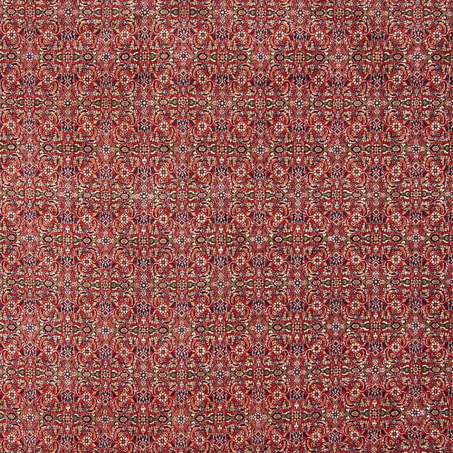 Persisk tæppe - Bijar - 300 x 252 cm - mørkerød