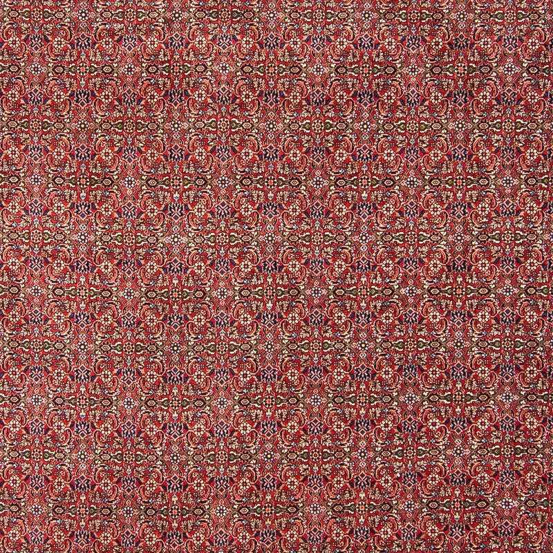Persisk tæppe - Bijar - 300 x 252 cm - mørkerød