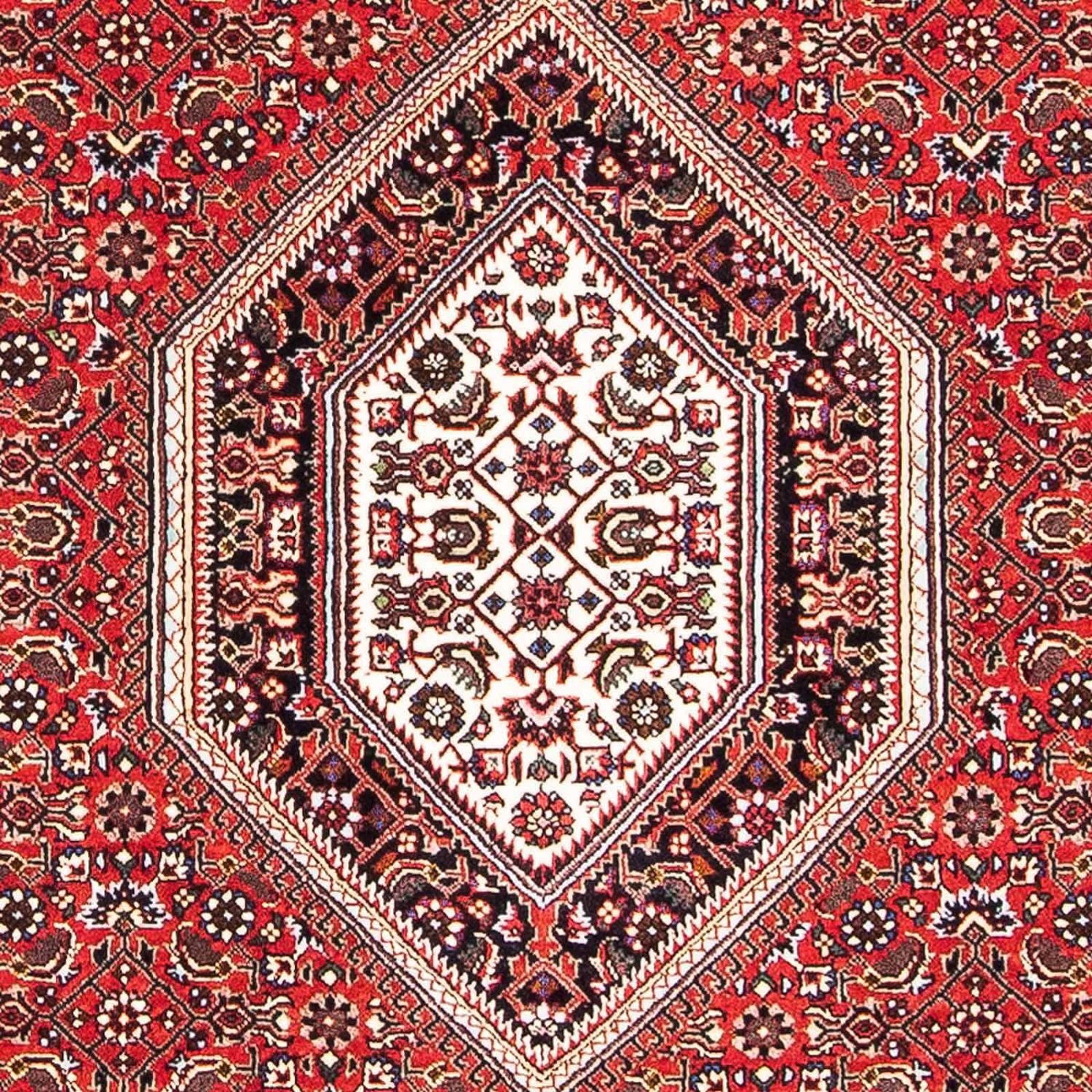 Persisk tæppe - Bijar - 167 x 108 cm - rød