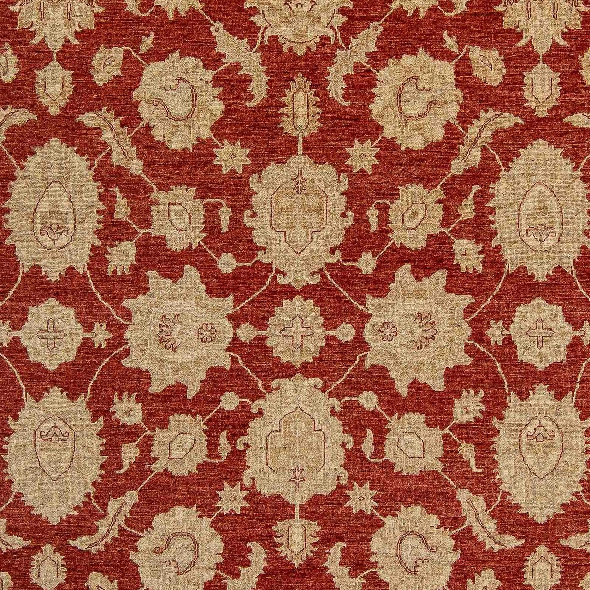Ziegler Carpet - 321 x 244 cm - mørkerød