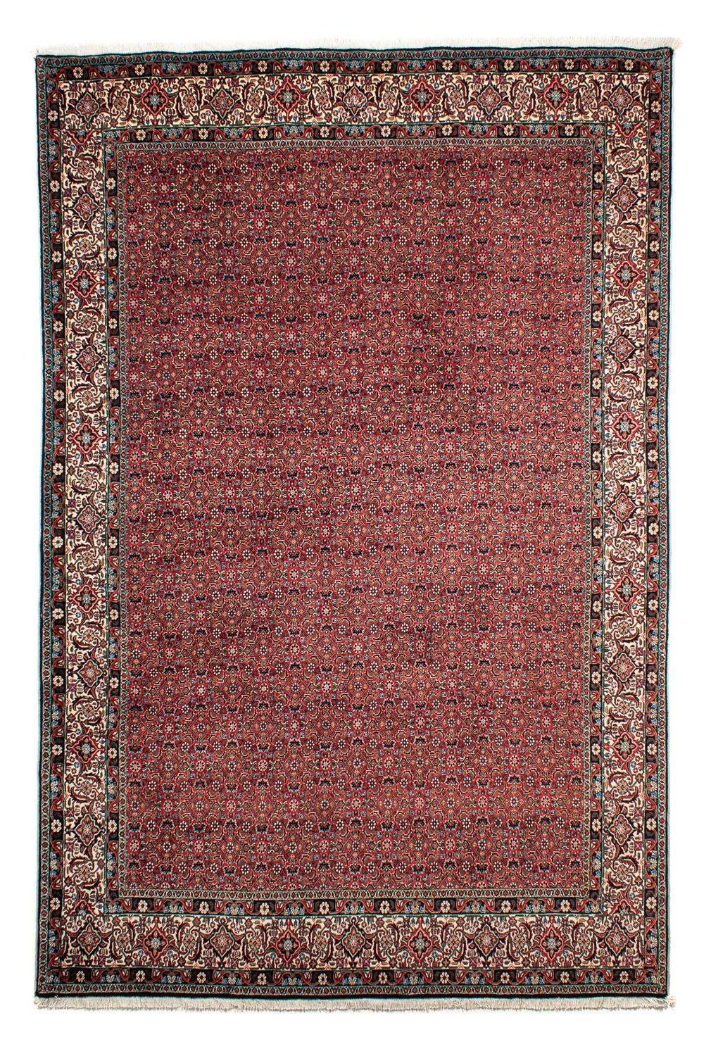 Persisk tæppe - Bijar - 299 x 203 cm - lysrød