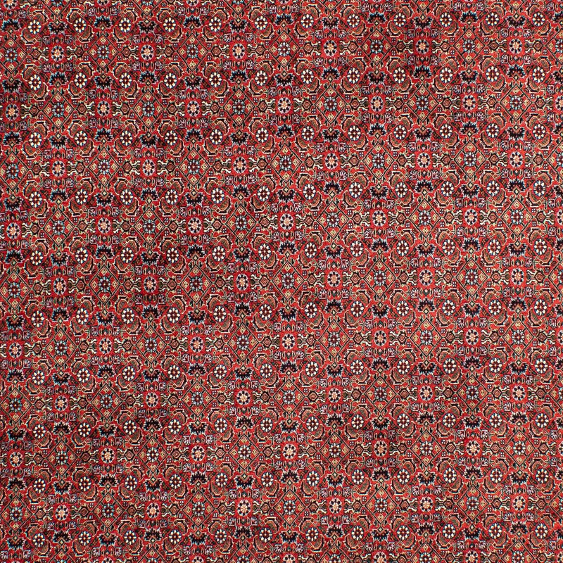 Persisk tæppe - Bijar - 299 x 203 cm - lysrød