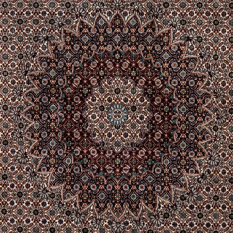 Persisk tæppe - Classic - 345 x 243 cm - beige