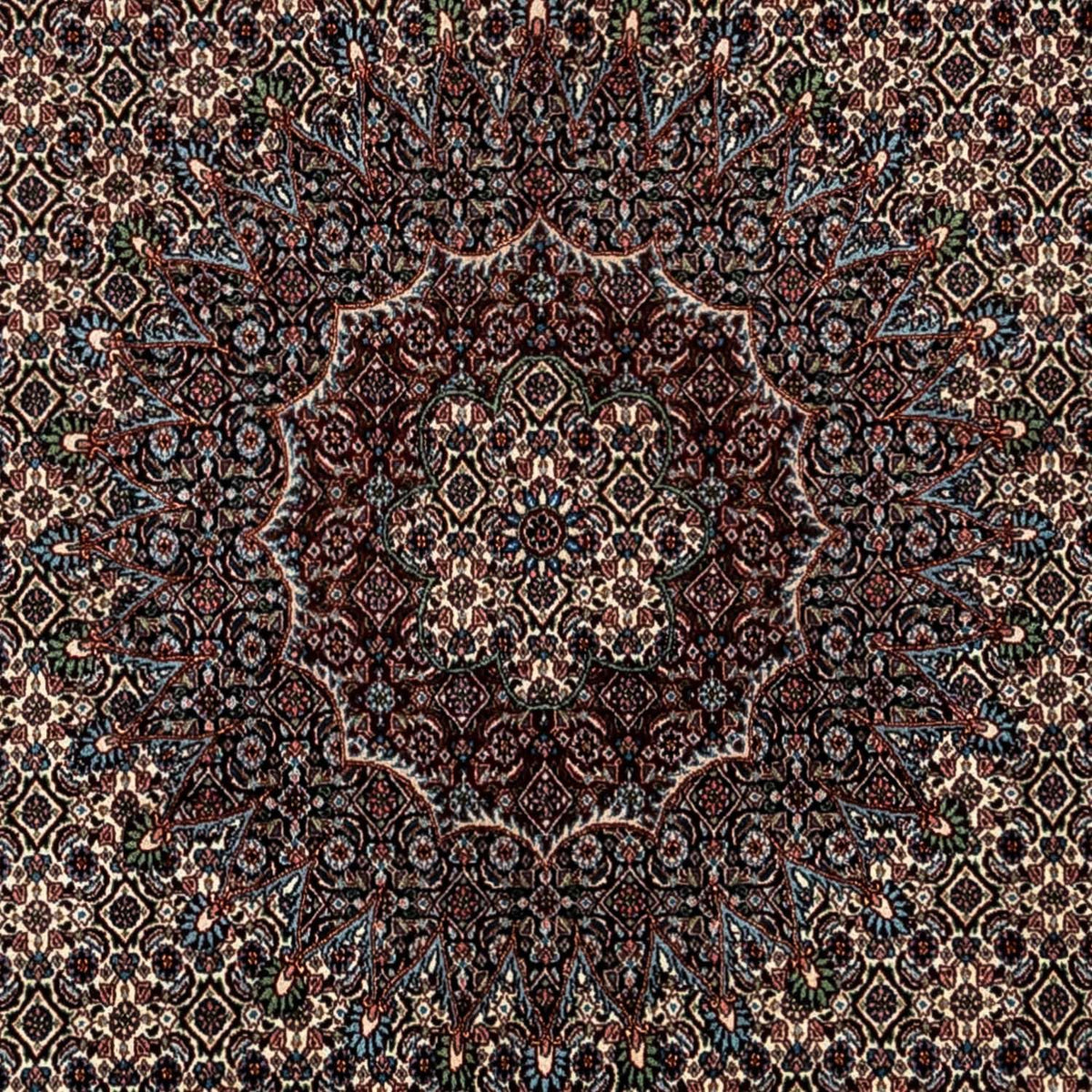 Persisk tæppe - Classic - 348 x 245 cm - beige