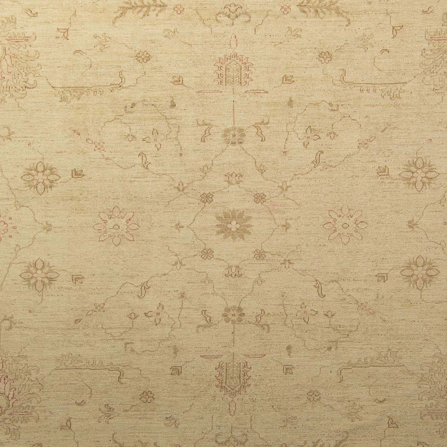 Ziegler Carpet - 339 x 245 cm - lys beige