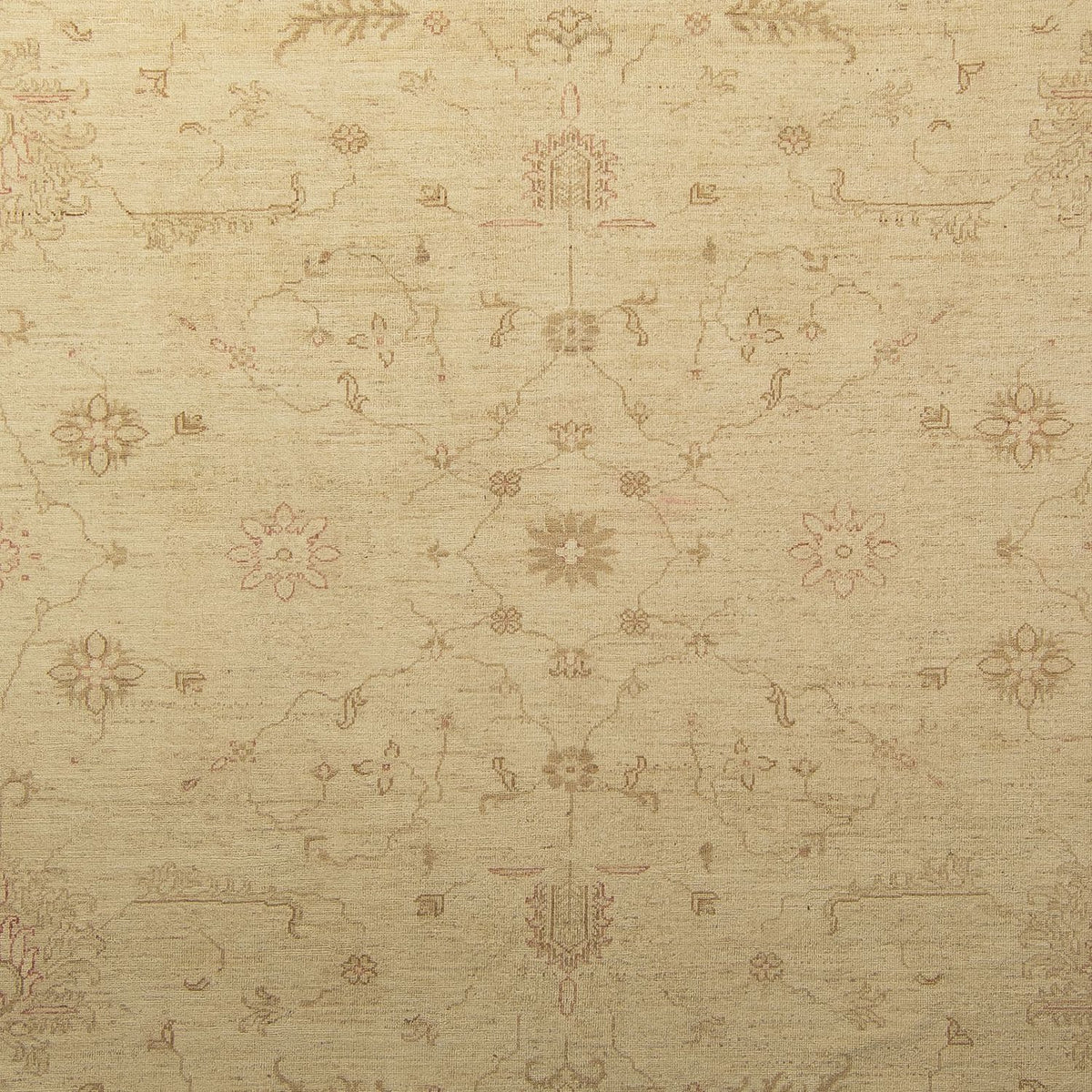 Ziegler Carpet - 339 x 245 cm - lys beige