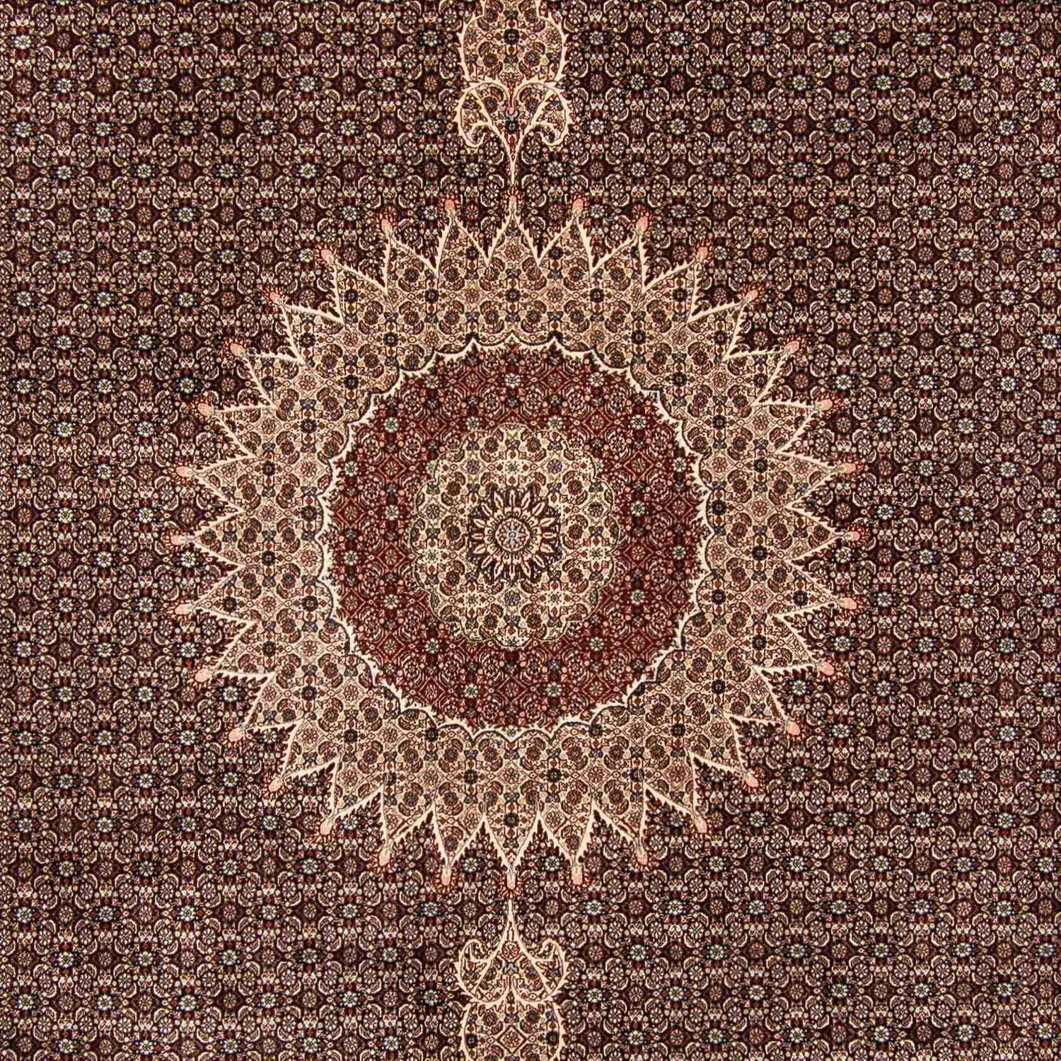 Persisk tæppe - Classic - 385 x 298 cm - lys brun