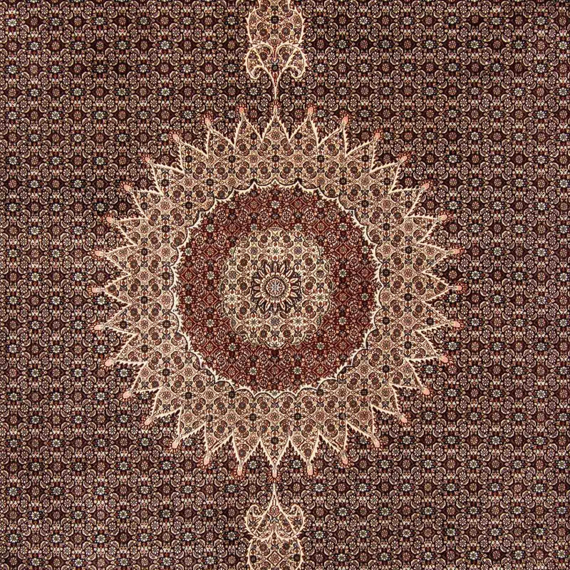 Persisk tæppe - Classic - 385 x 298 cm - lys brun