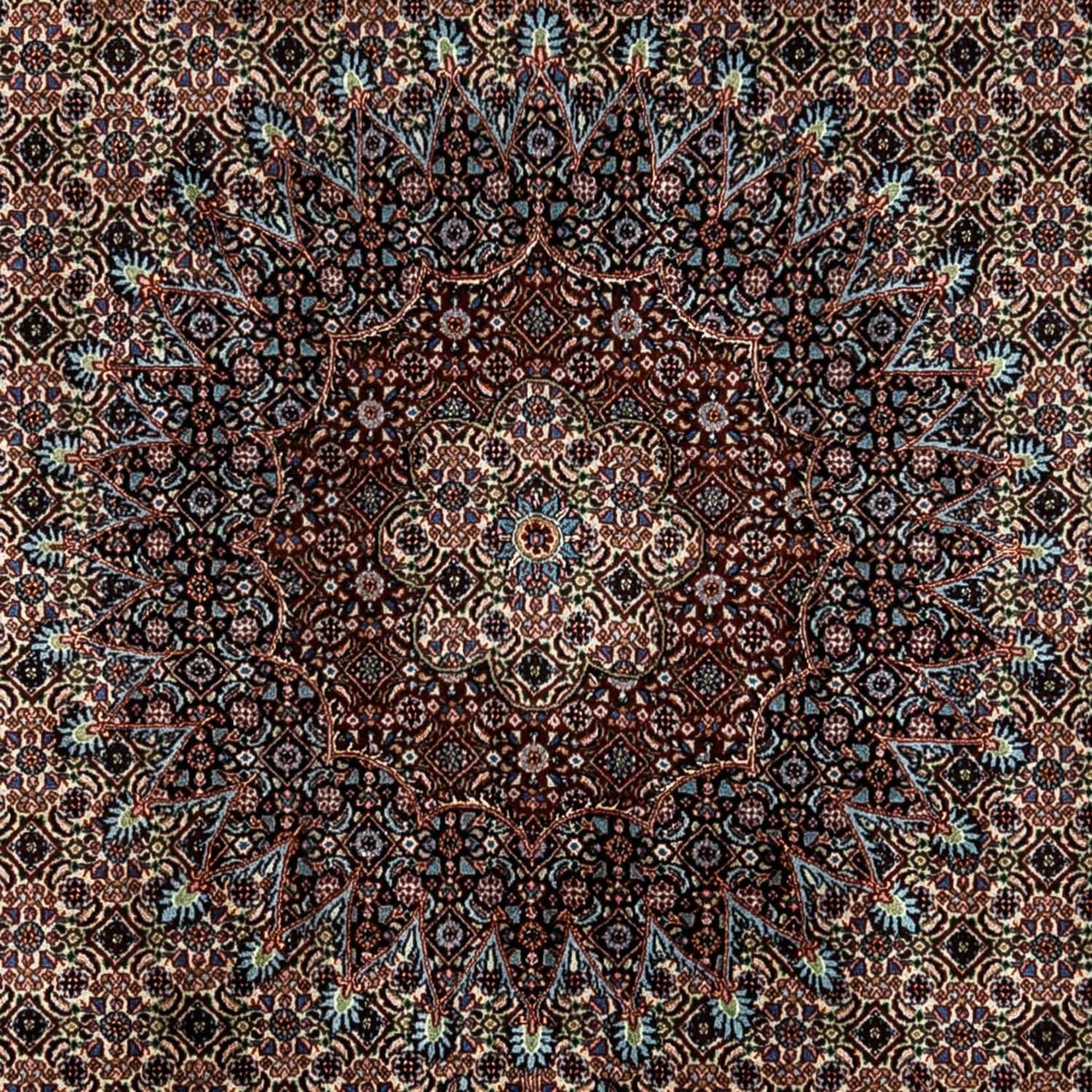 Persisk tæppe - Classic - 346 x 250 cm - beige