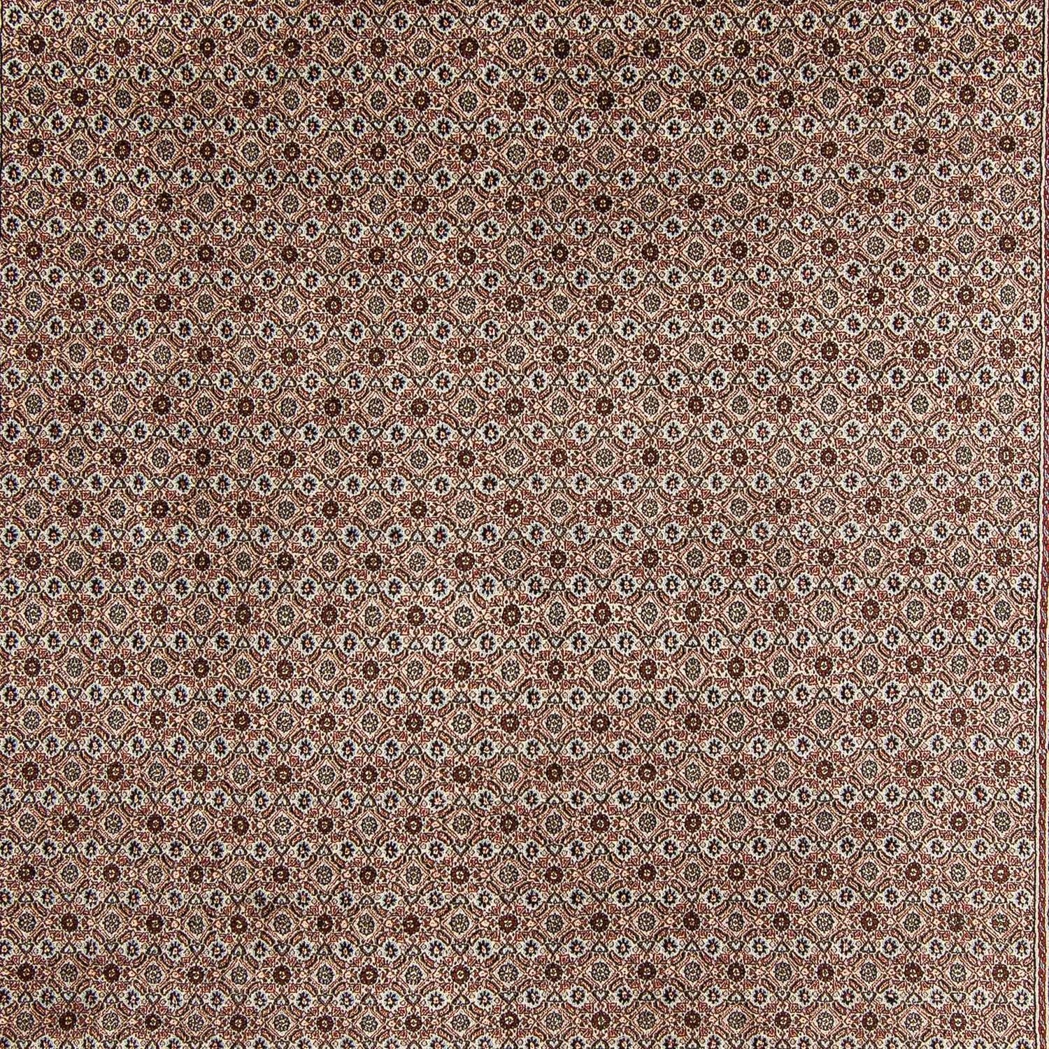 Persisk tæppe - Classic - 345 x 245 cm - flerfarvet