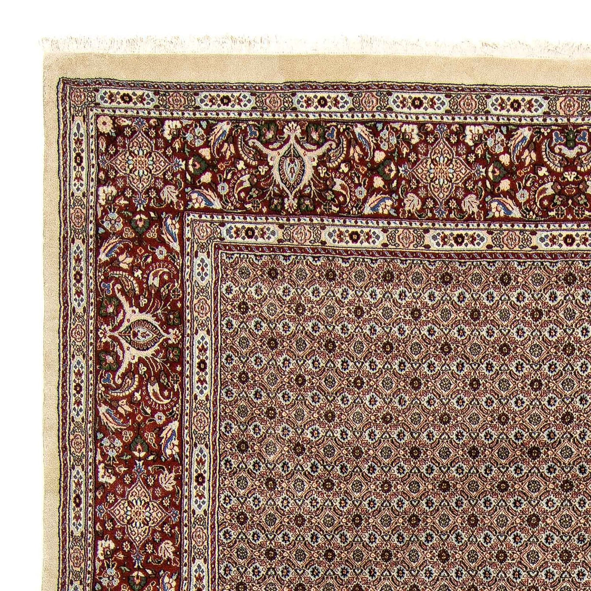 Persisk tæppe - Classic - 345 x 245 cm - flerfarvet