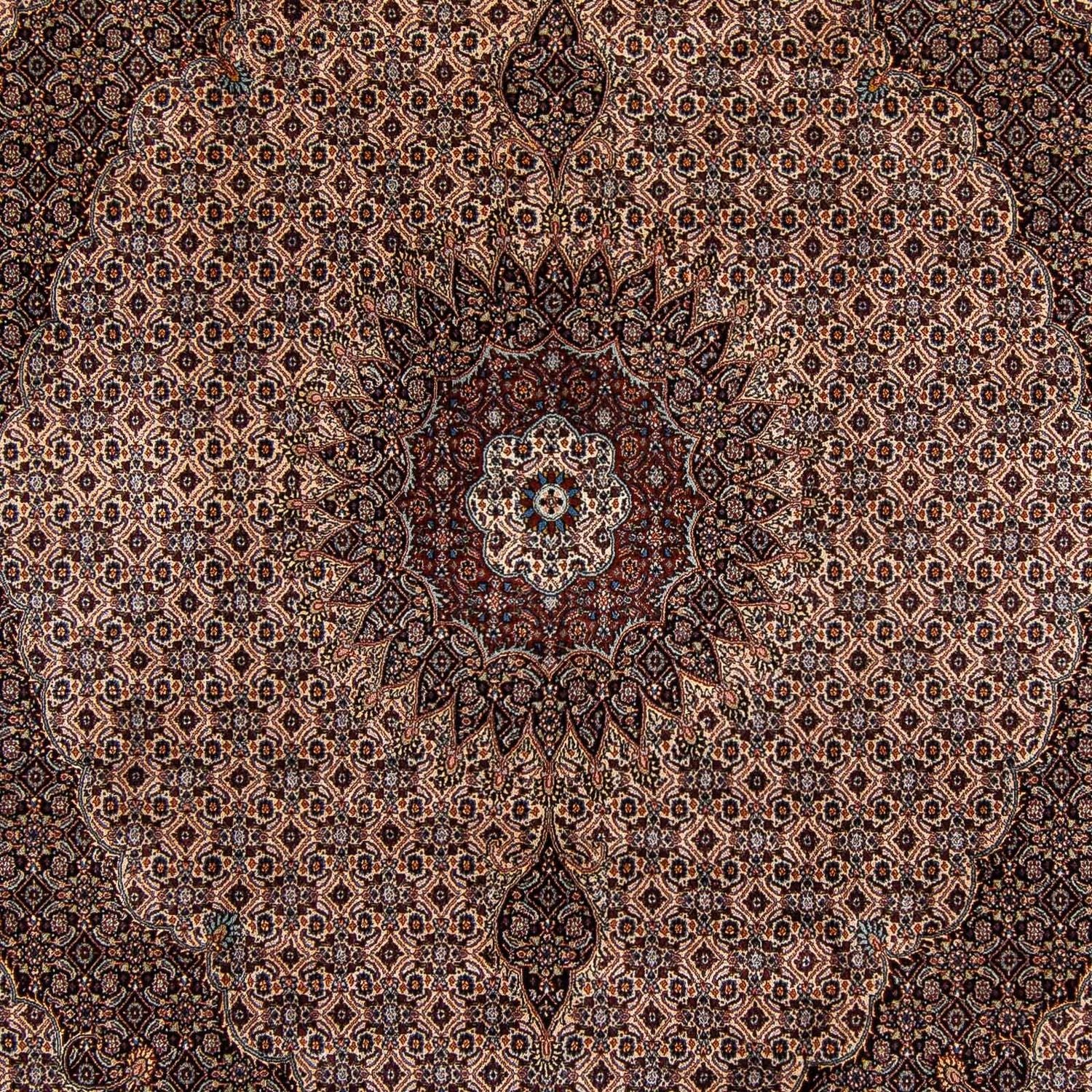 Persisk tæppe - Classic - 305 x 251 cm - mørkebrun