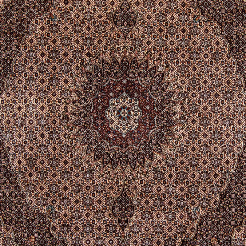 Persisk tæppe - Classic - 305 x 251 cm - mørkebrun