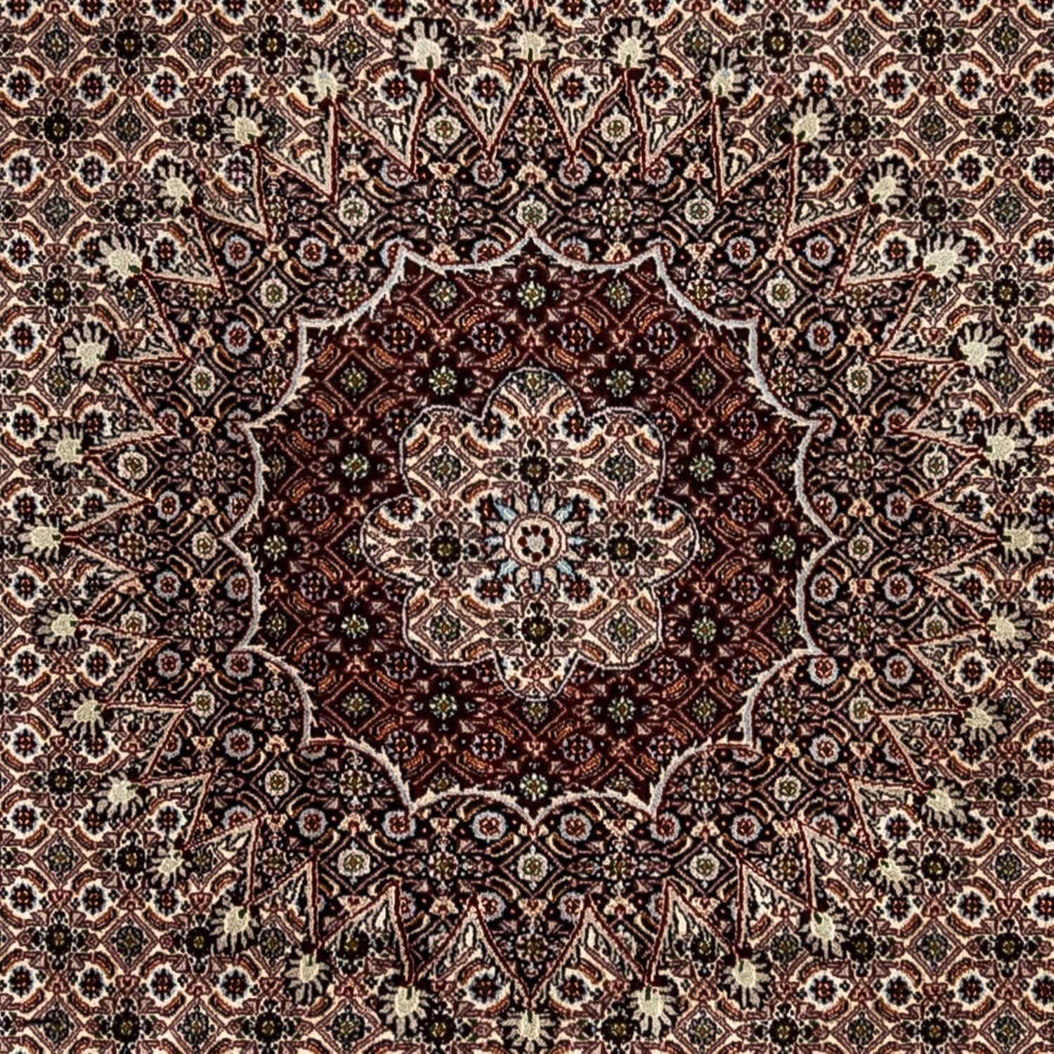Persisk tæppe - Classic - 328 x 245 cm - beige