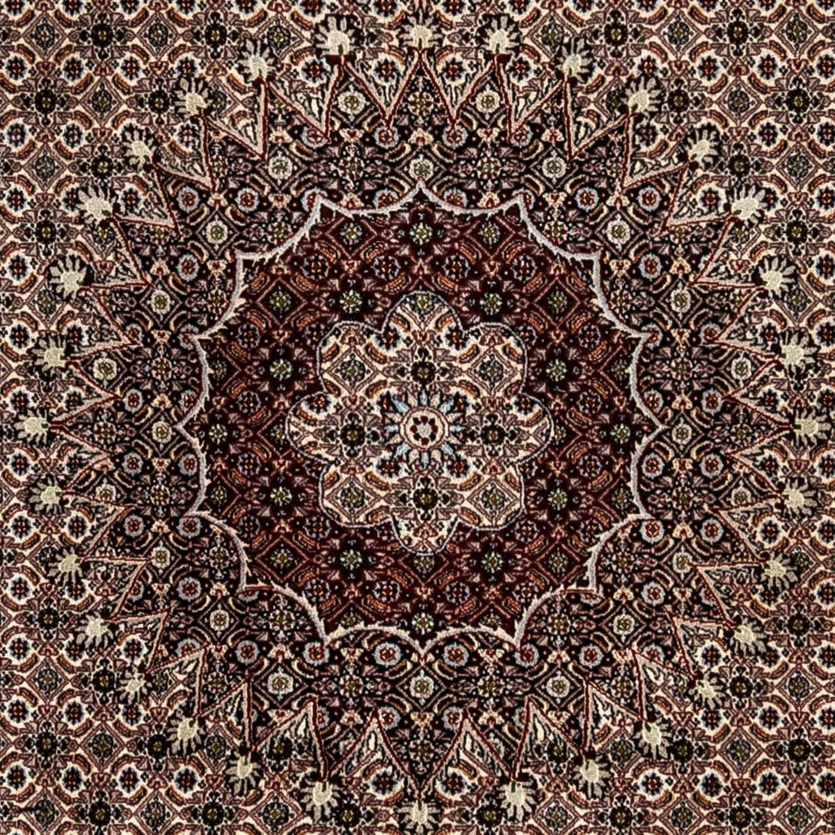 Persisk tæppe - Classic - 328 x 245 cm - beige