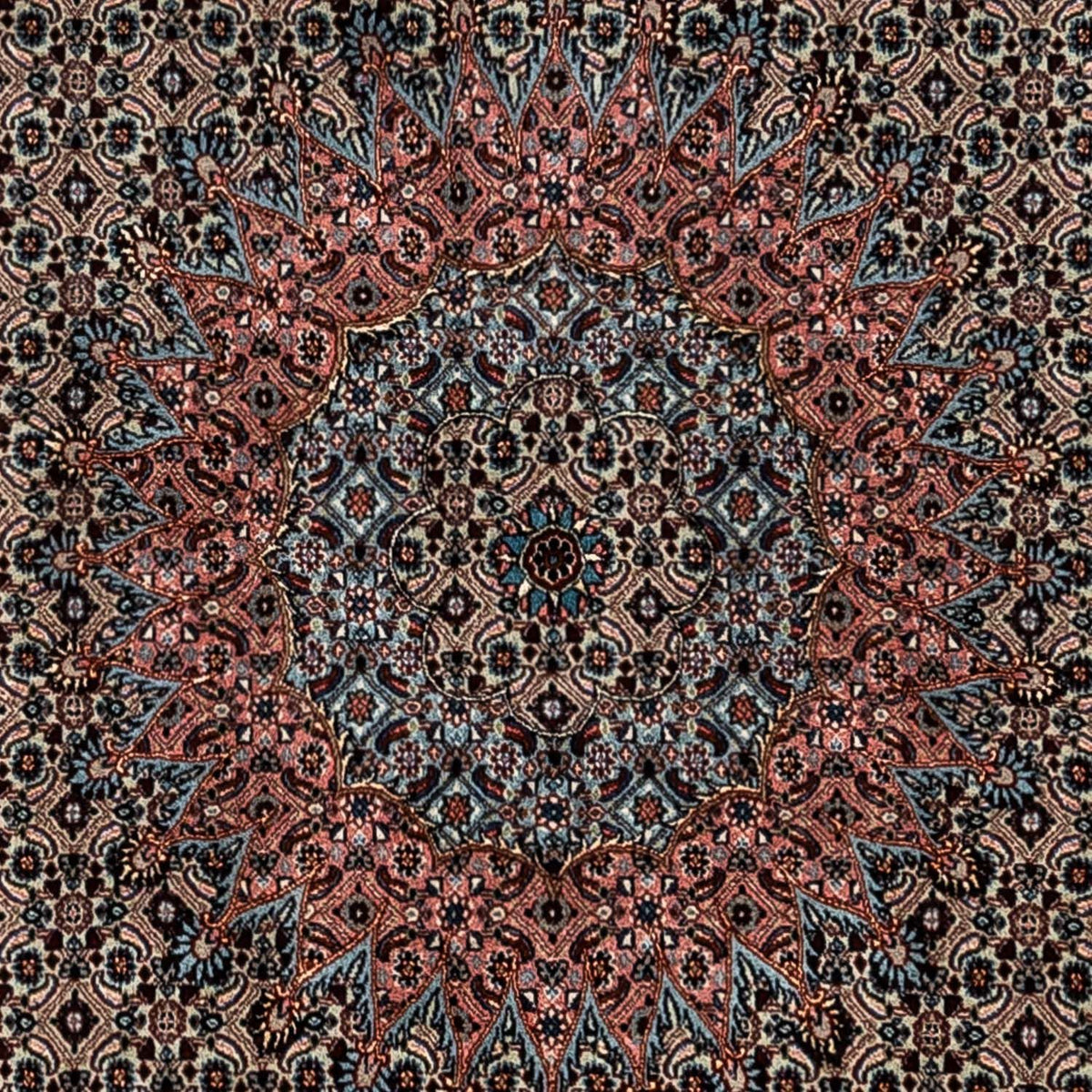 Persisk tæppe - Classic - 347 x 252 cm - lys mocca