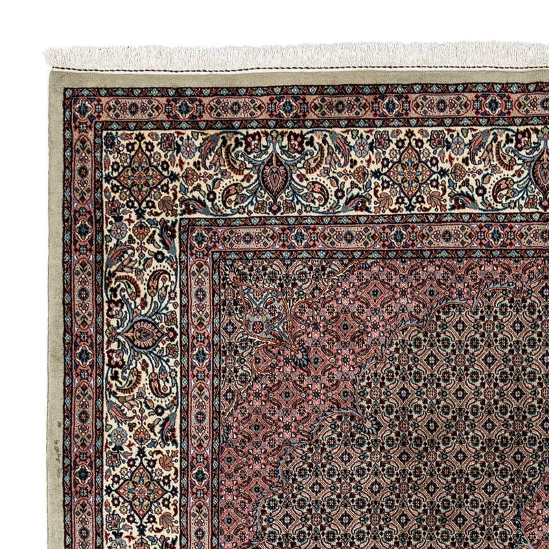 Persisk tæppe - Classic - 347 x 252 cm - lys mocca