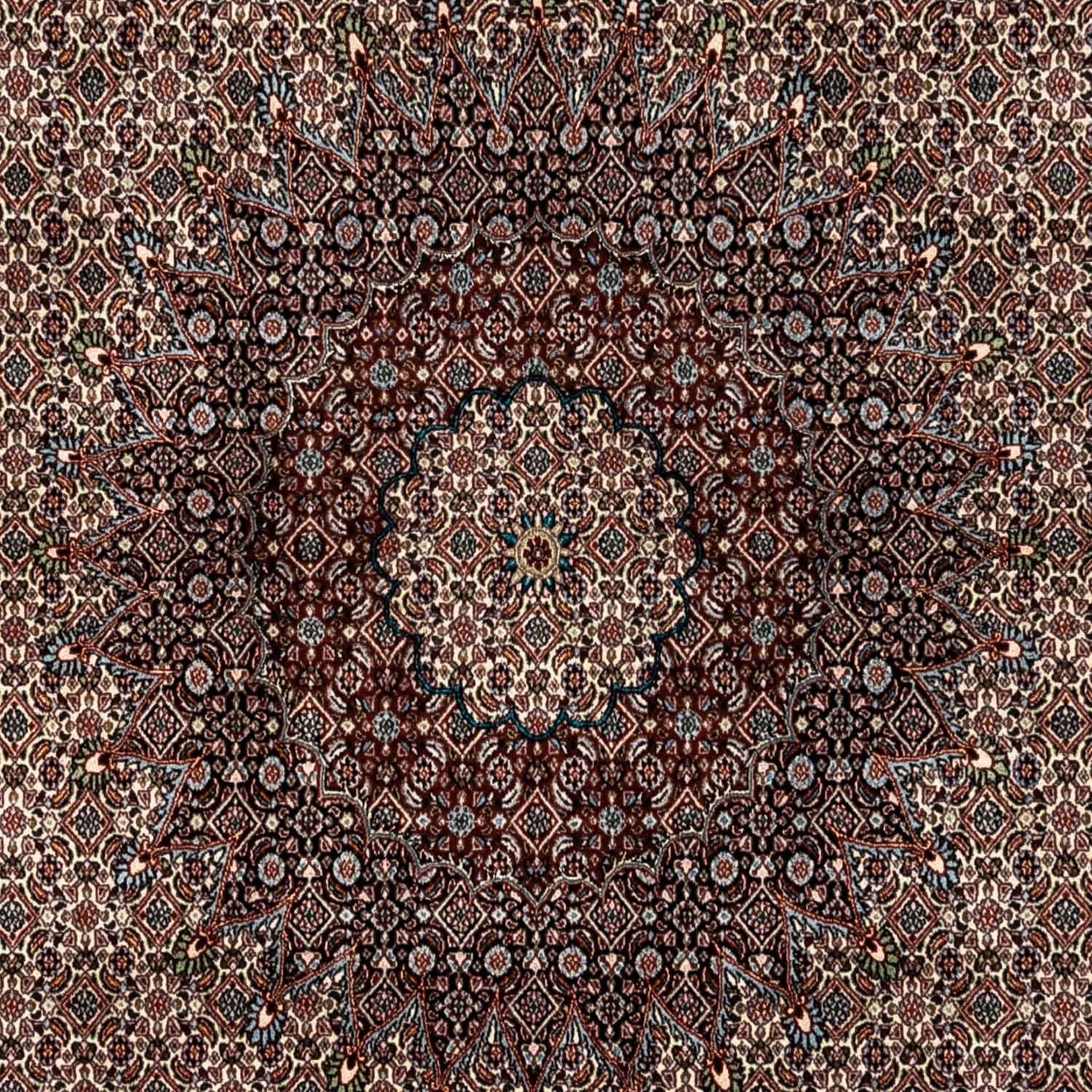 Persisk tæppe - Classic - 333 x 248 cm - beige