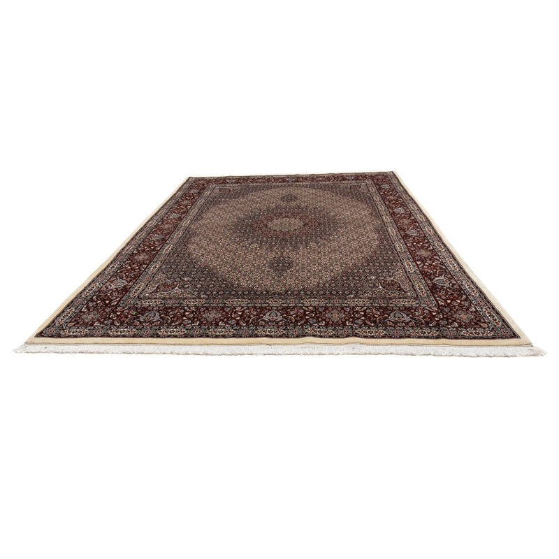 Persisk tæppe - Classic - 333 x 248 cm - beige