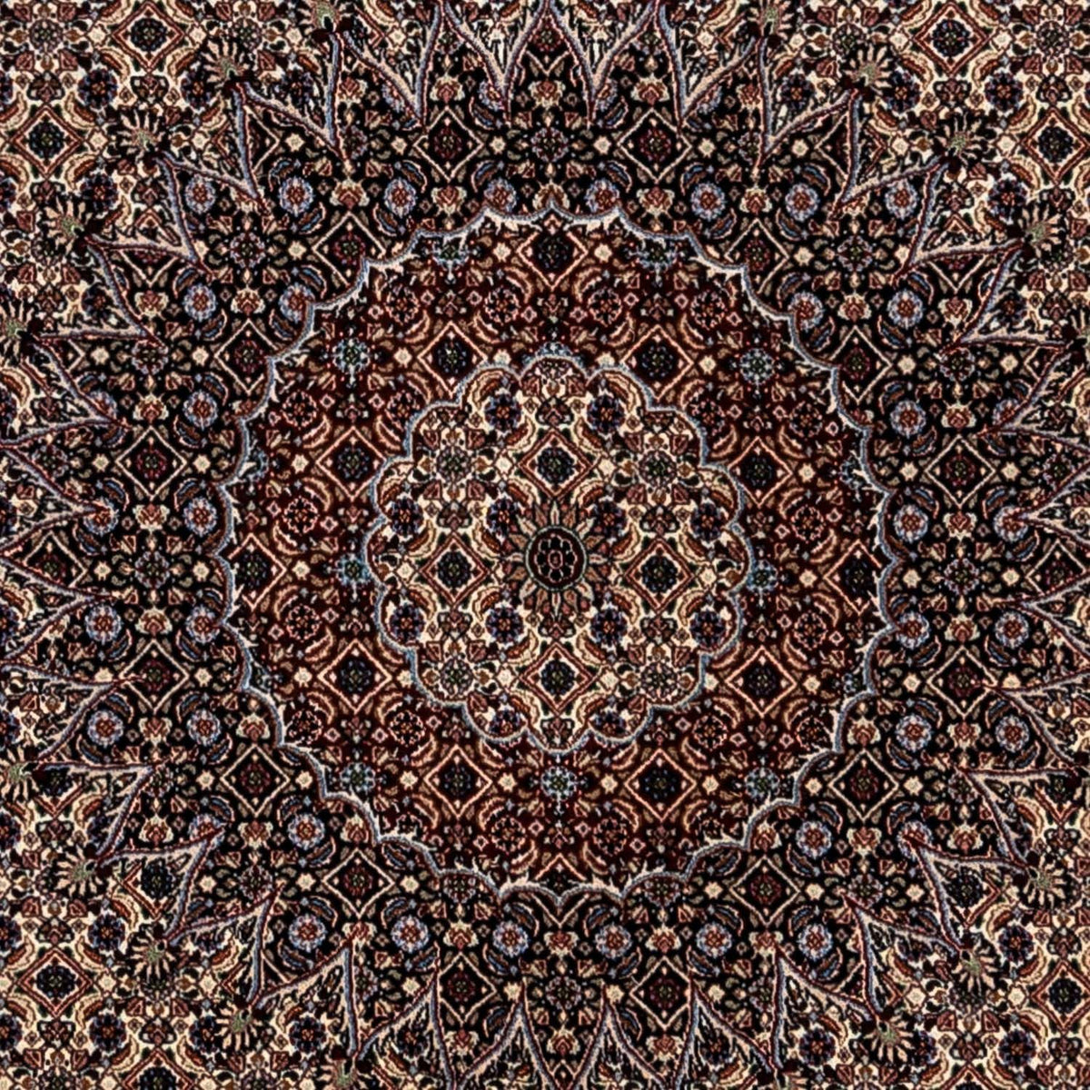 Persisk tæppe - Classic - 345 x 253 cm - beige