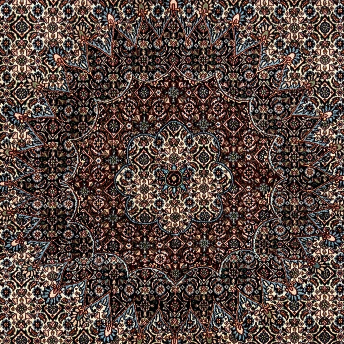 Persisk tæppe - Classic - 353 x 250 cm - beige