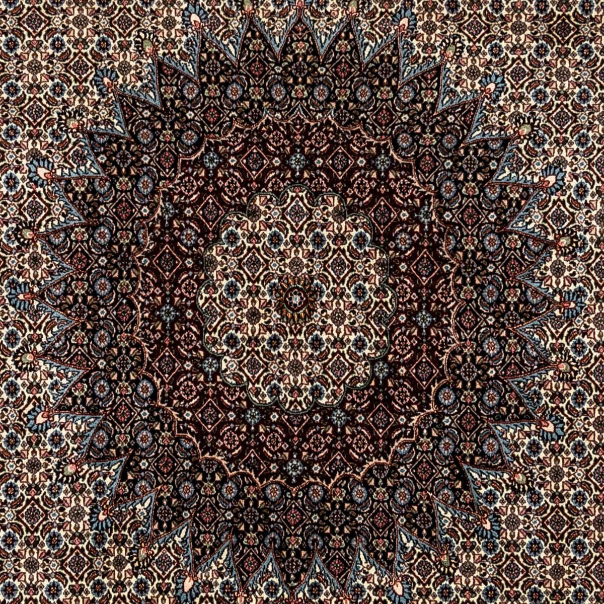 Persisk tæppe - Classic - 343 x 248 cm - beige