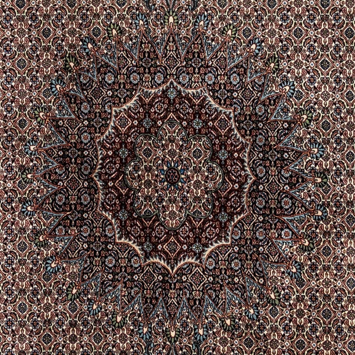 Persisk tæppe - Classic - 346 x 250 cm - beige
