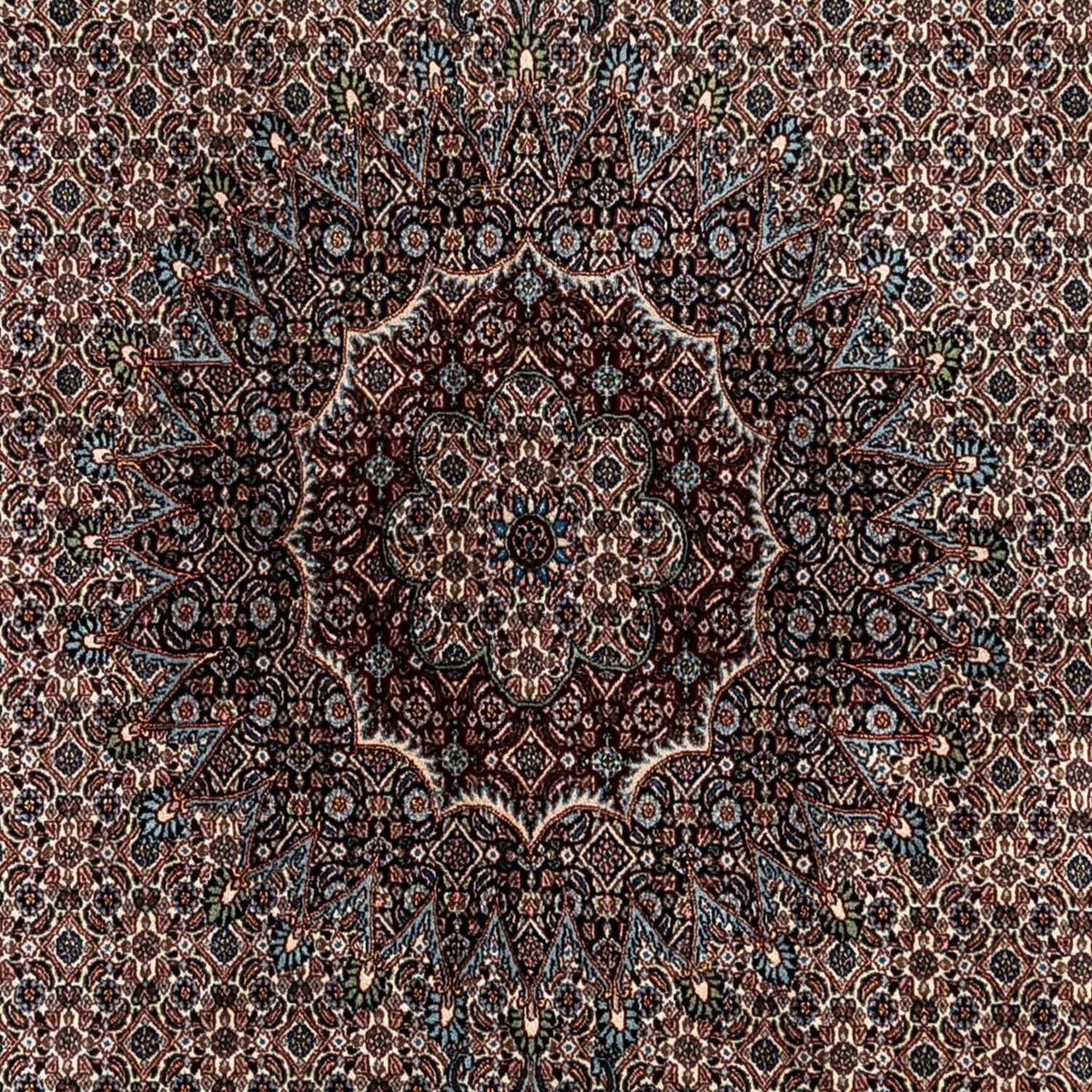 Persisk tæppe - Classic - 346 x 250 cm - beige