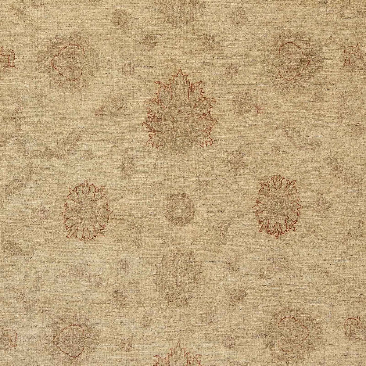 Ziegler Carpet - 300 x 239 cm - lys brun