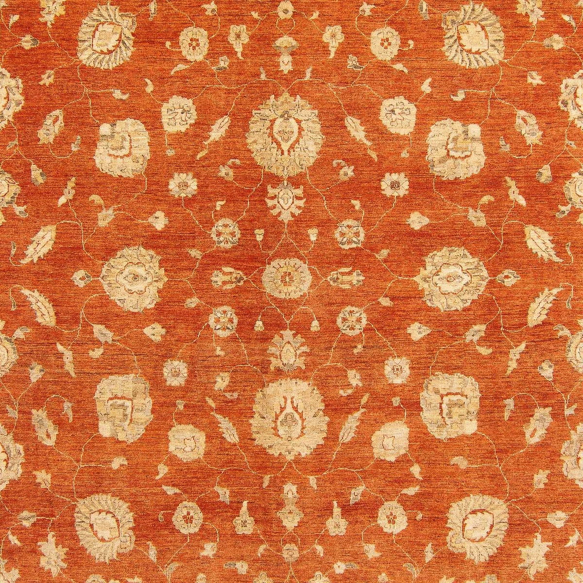 Ziegler Carpet - 386 x 296 cm - rust