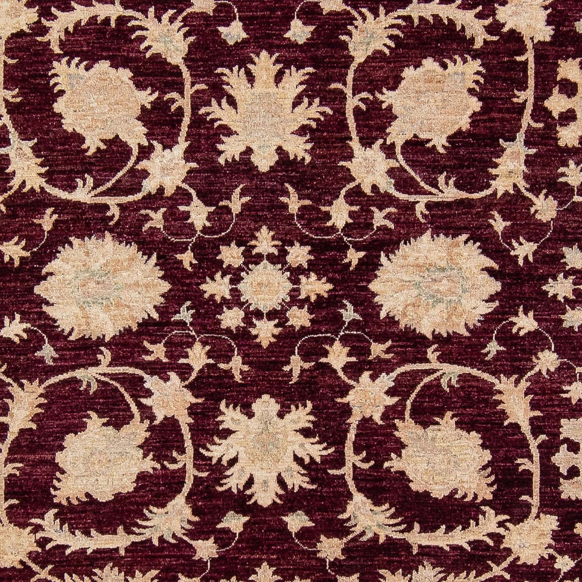 Ziegler Carpet - 345 x 249 cm - mørkerød