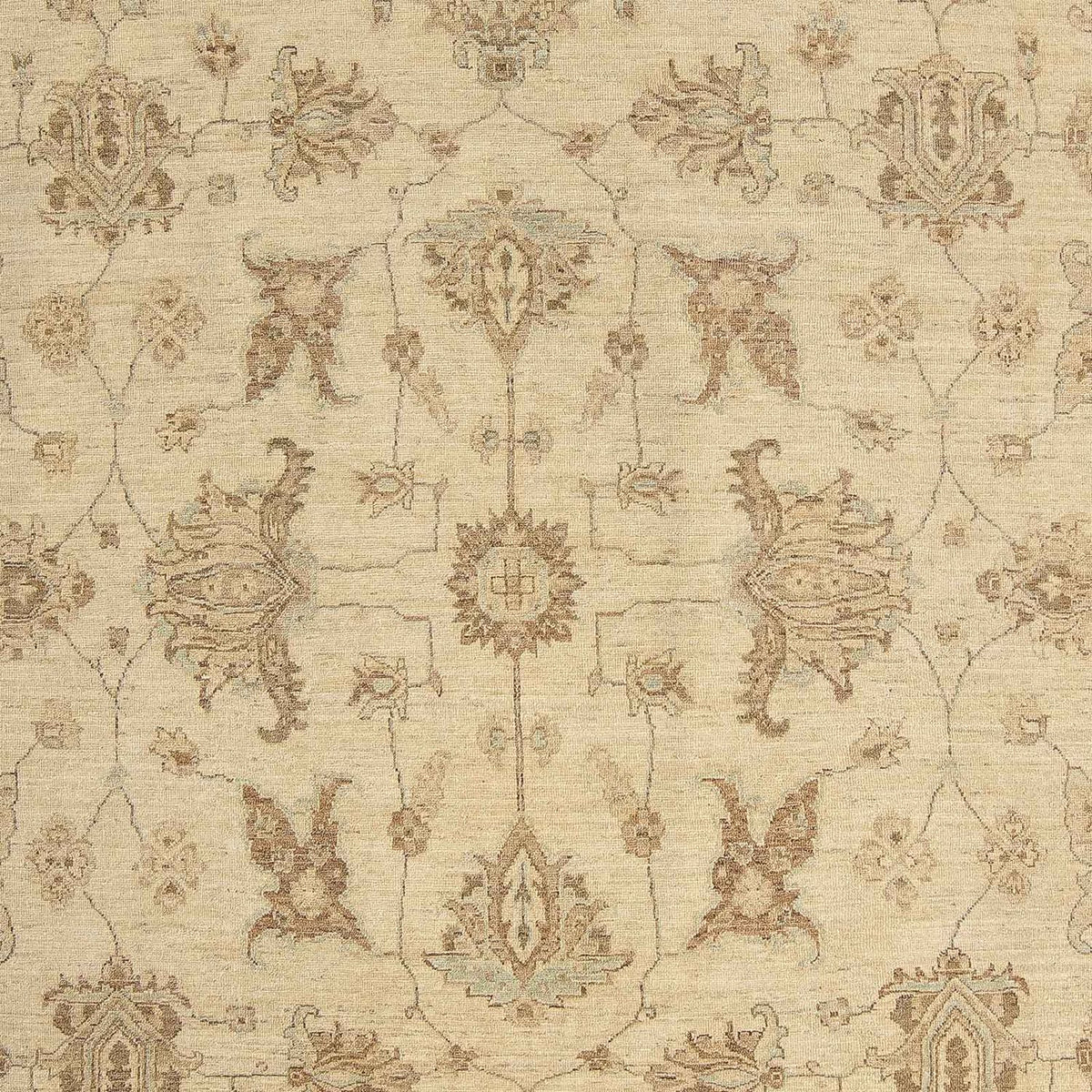 Ziegler Carpet - 306 x 248 cm - lys brun