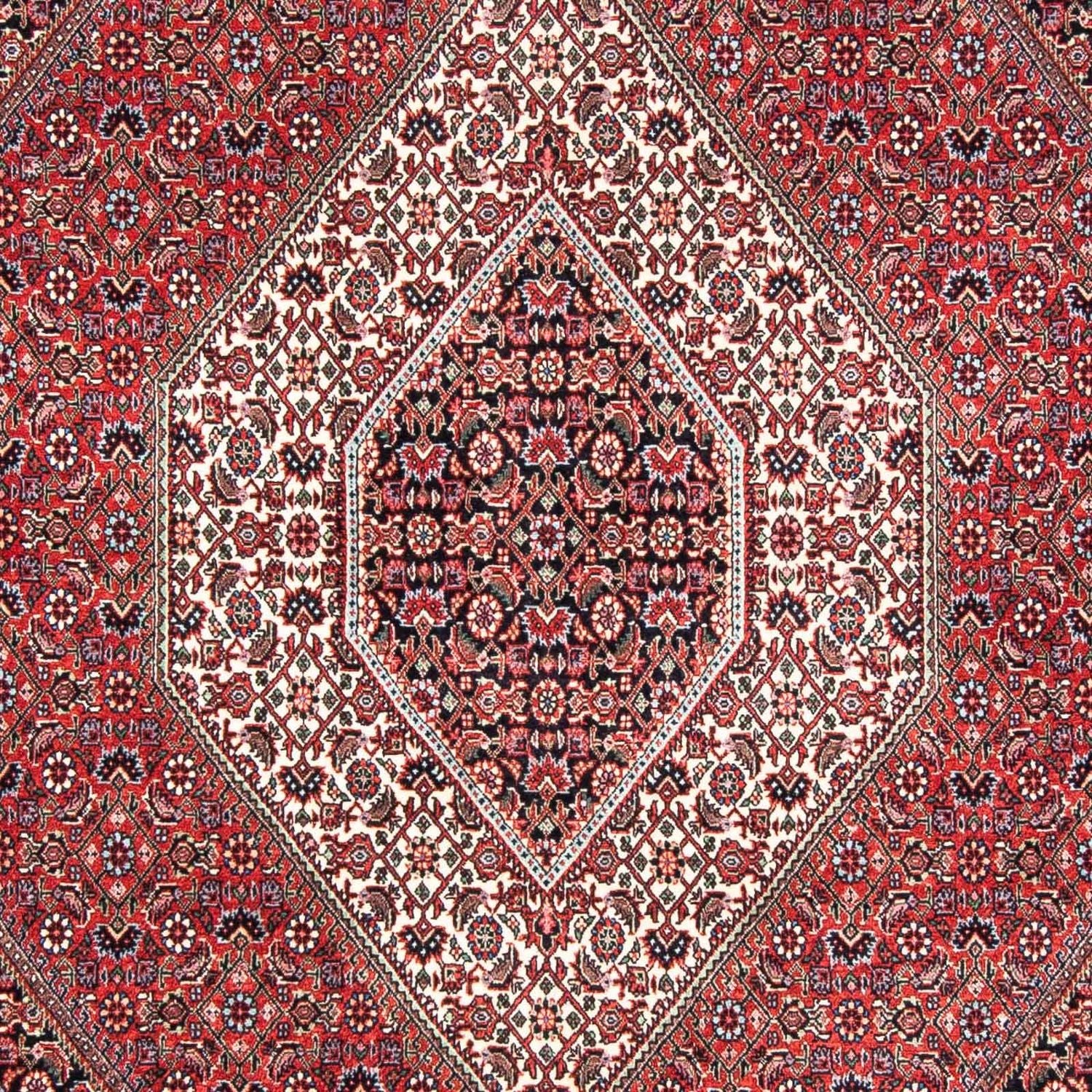 Persisk tæppe - Bijar - 241 x 172 cm - mørkerød