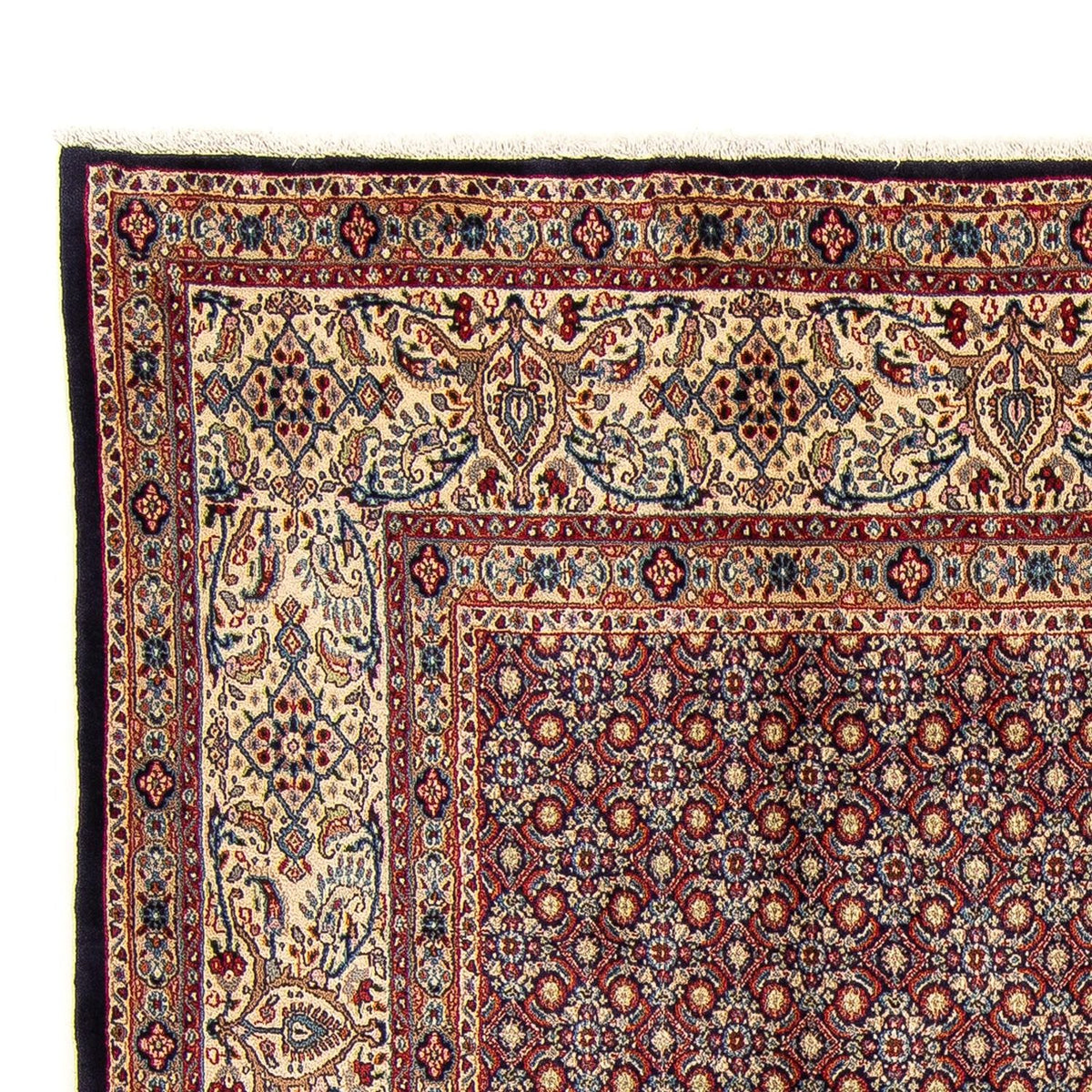 Persisk tæppe - Classic firkantet  - 252 x 252 cm - flerfarvet