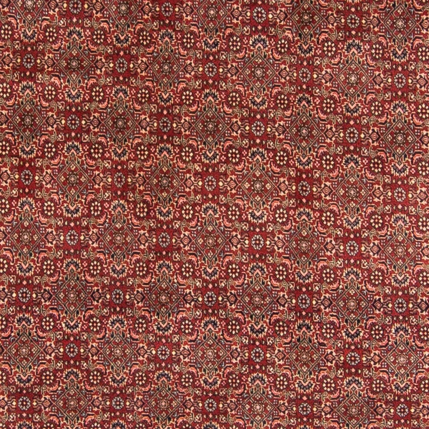 Persisk tæppe - Bijar - 298 x 200 cm - mørkerød
