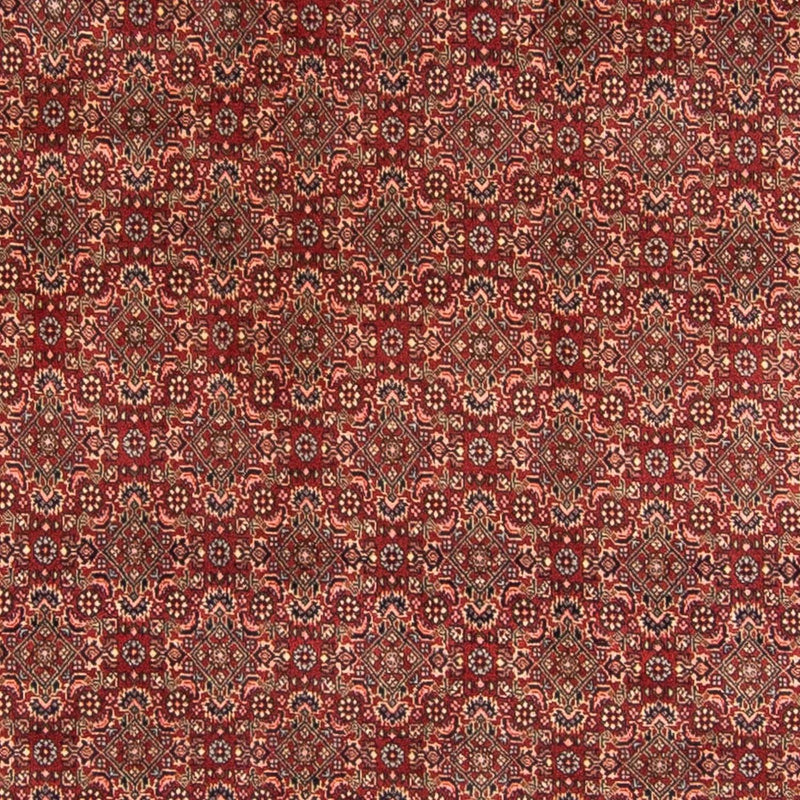 Persisk tæppe - Bijar - 298 x 200 cm - mørkerød