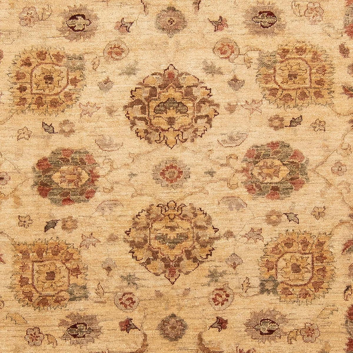 Ziegler Carpet - 281 x 240 cm - lys brun