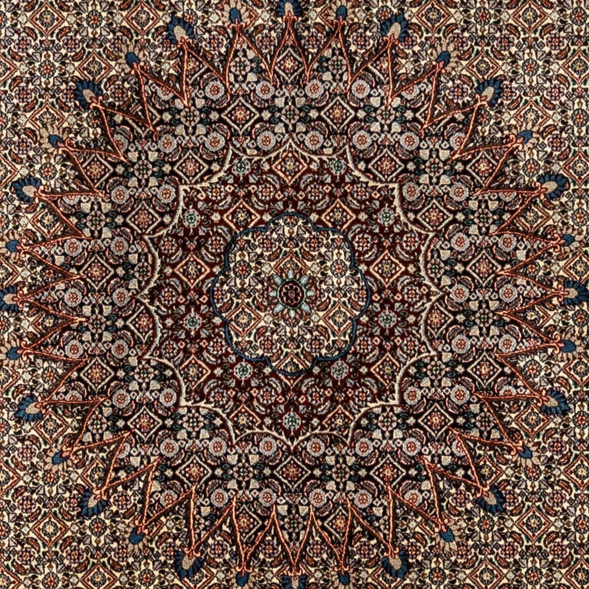 Persisk tæppe - Classic - 352 x 246 cm - beige