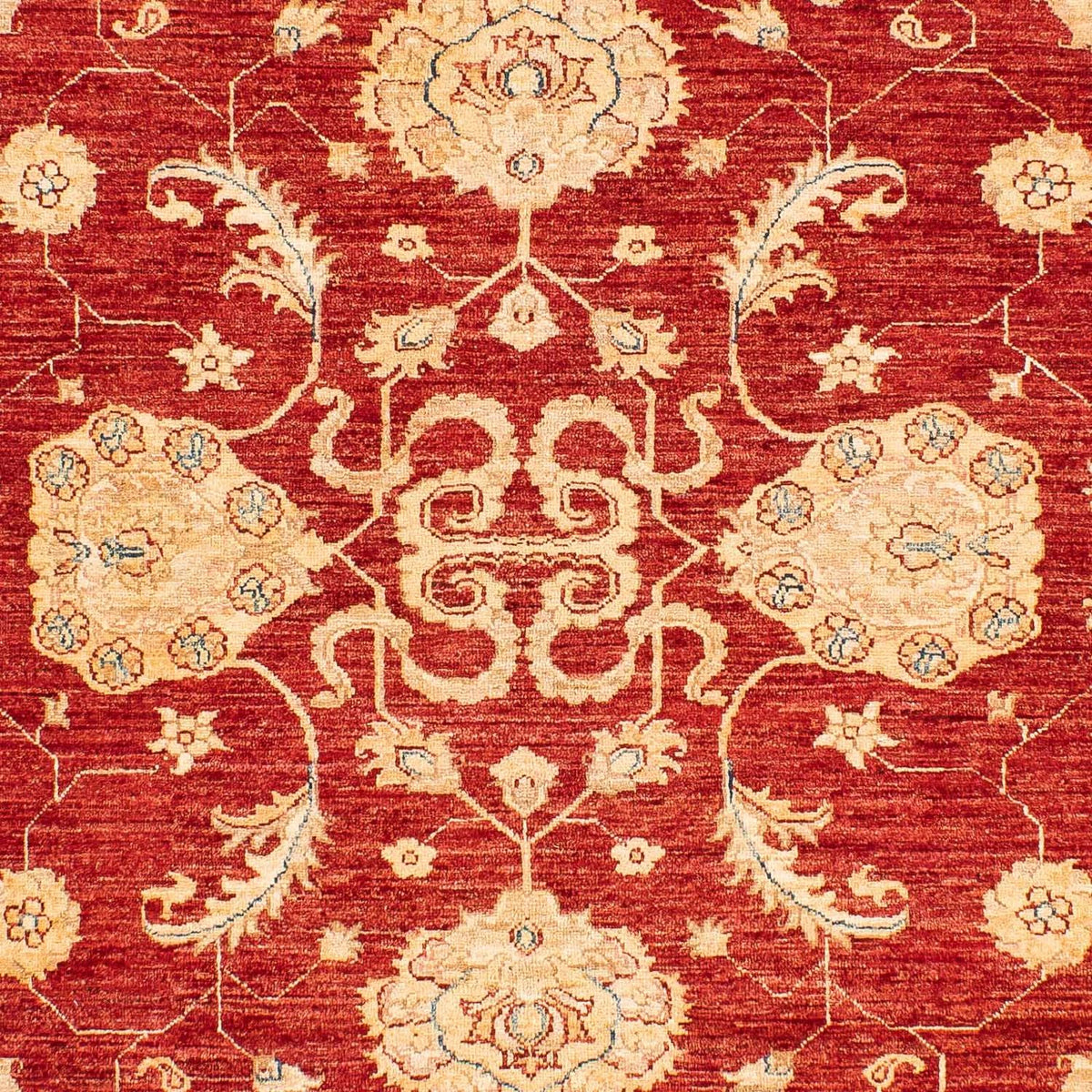 Ziegler Carpet - 222 x 174 cm - mørkerød
