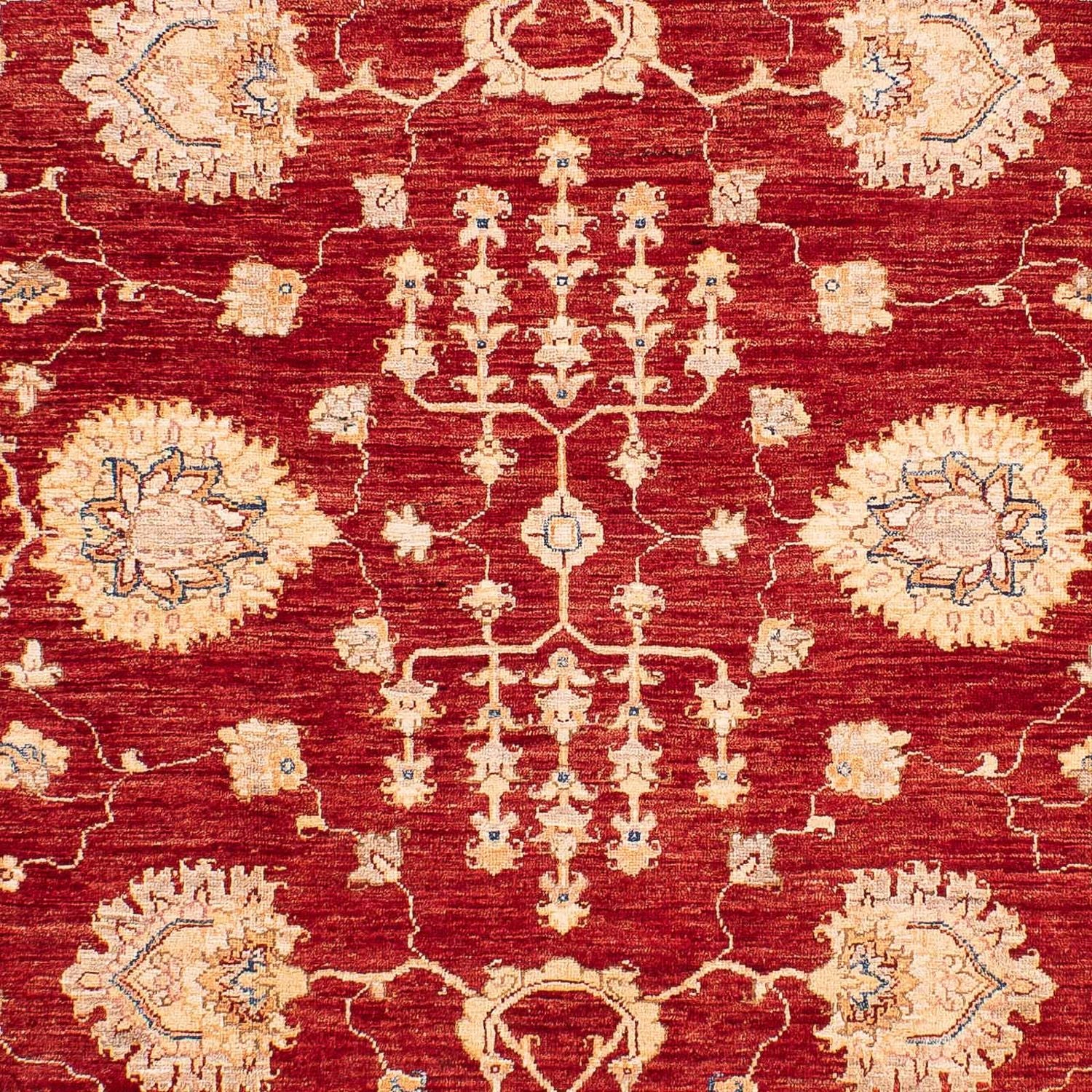 Ziegler Carpet - 218 x 169 cm - mørkeblå