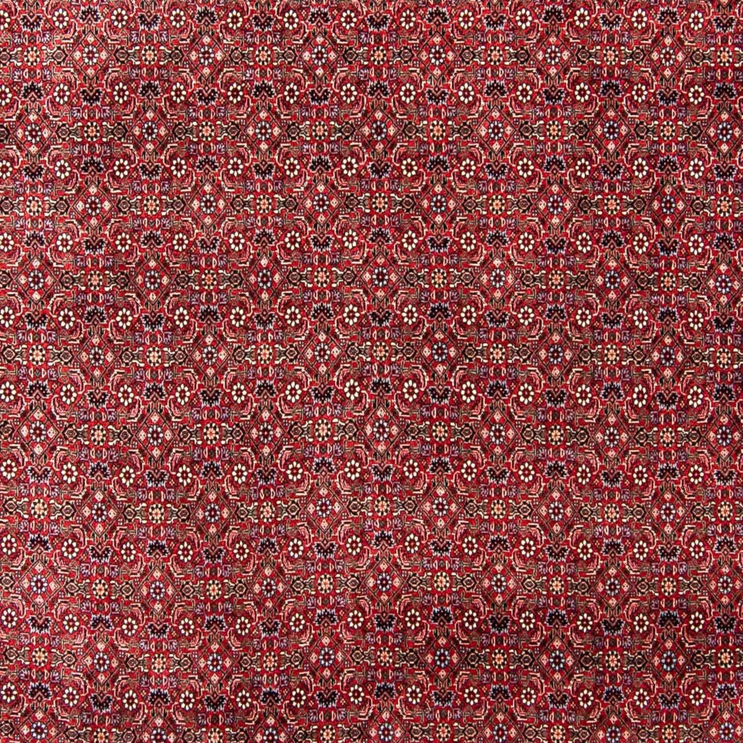 Persisk tæppe - Bijar - 300 x 253 cm - mørkerød