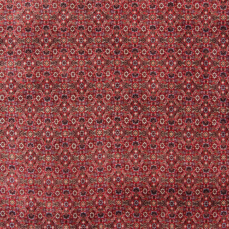 Persisk tæppe - Bijar - 300 x 253 cm - mørkerød