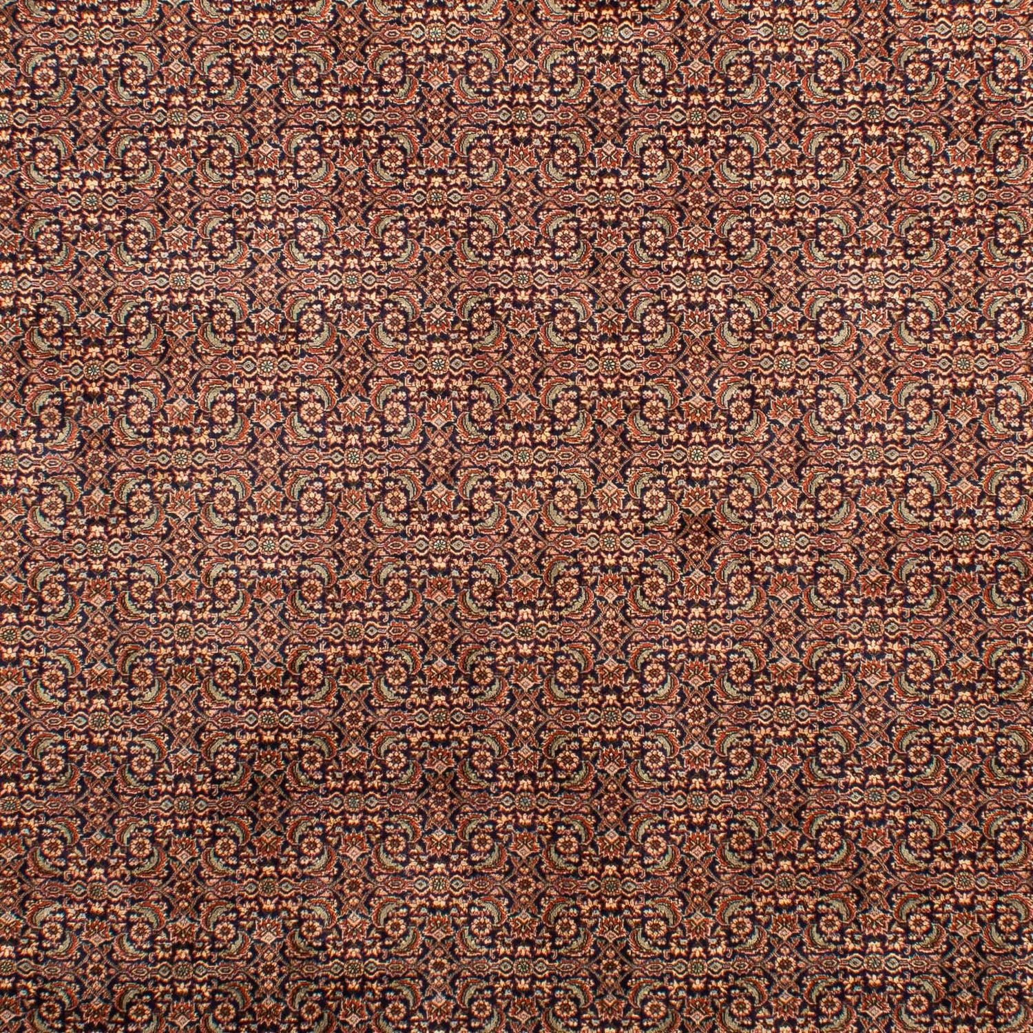 Persisk tæppe - Bijar - 298 x 202 cm - flerfarvet