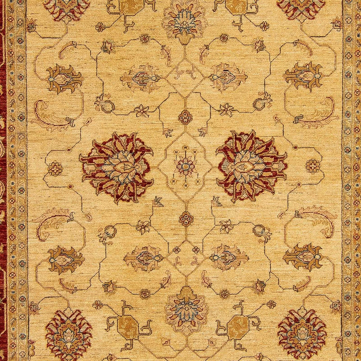 Løber Ziegler Carpet - 495 x 193 cm - guld