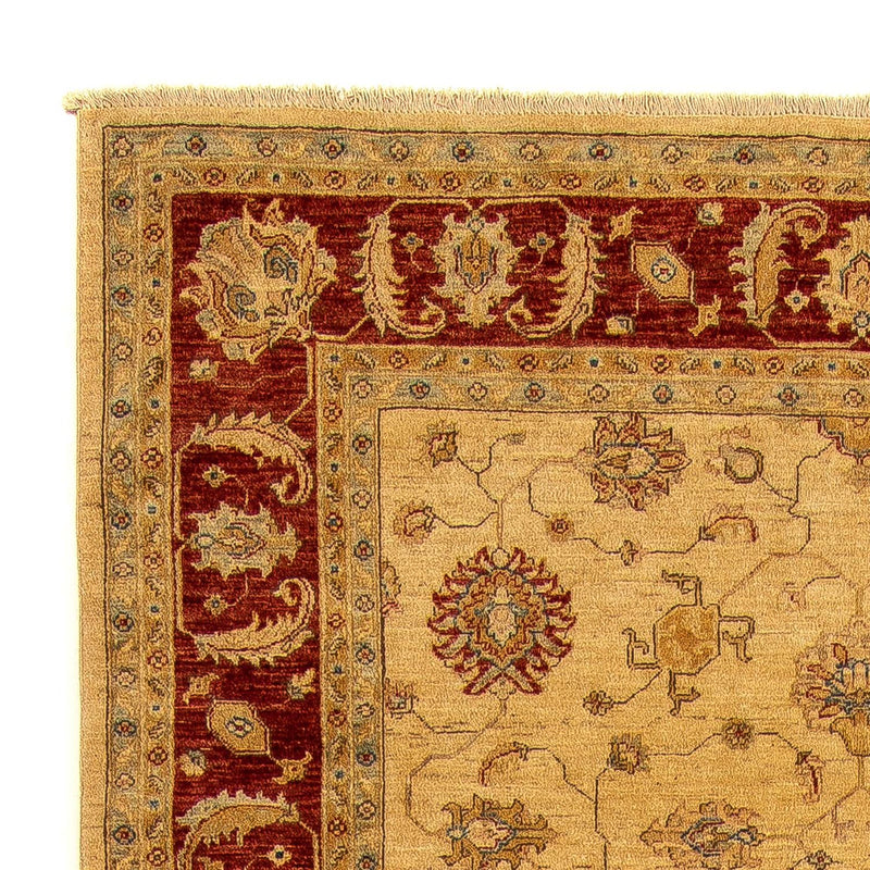 Løber Ziegler Carpet - 495 x 193 cm - guld