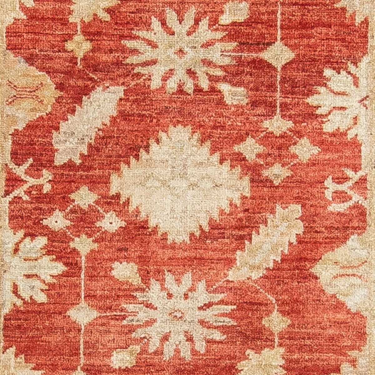 Løber Ziegler Carpet - 289 x 81 cm - rød