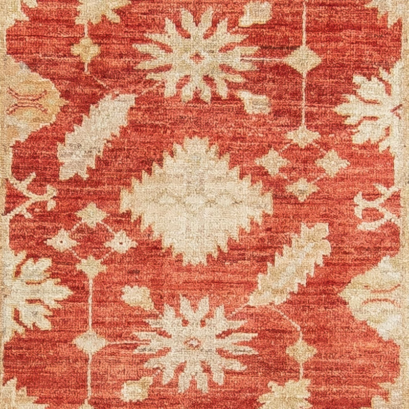 Løber Ziegler Carpet - 289 x 81 cm - rød